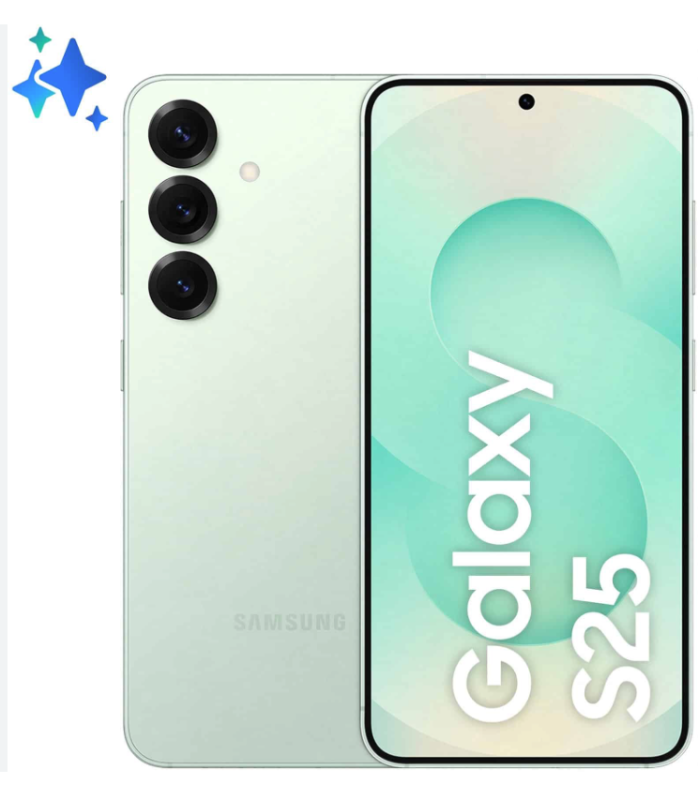 SAMSUNG S25 PLUS 12 GB RAM 256 GB IN MINT
